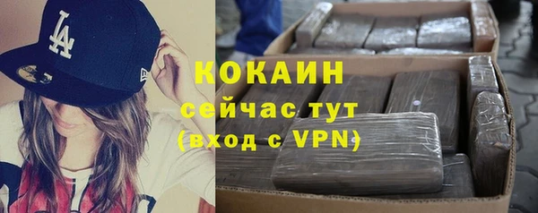 прущие грибы Вязники