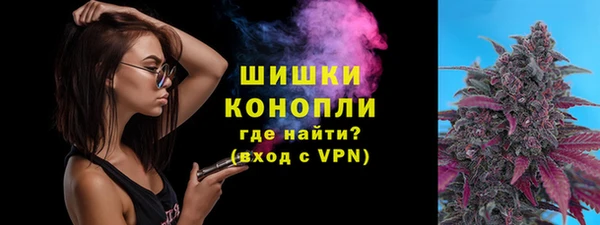 прущие грибы Вязники
