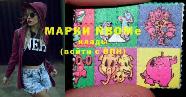 прущие грибы Вязники