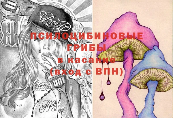 бошки Бородино